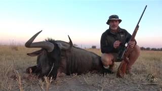 Perfect caliber for African plains and dangerous game hunting [upl. by Cissy]