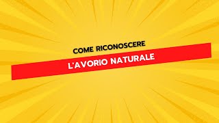 Come Riconoscere lAvorio Naturale [upl. by Zapot]