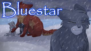 Bluestars Emotional Arc in Rising Storm  Analyzing Warrior Cats [upl. by Anierdna]