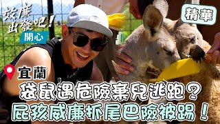 全台首座袋鼠互動園區！袋鼠遇危險棄兒逃跑？屁孩威廉抓尾巴險被踢？【效廉出發吧】EP73 精華｜📍宜蘭｜許效舜 威廉 [upl. by Nnylharas]