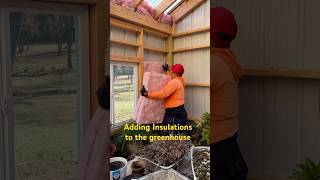 Installing insulations to the greenhouse greenhouse houseplants indoorplants [upl. by Branca]