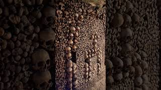 Catacombes of Paris catacombs paris halloween spooky [upl. by Euqirdor235]