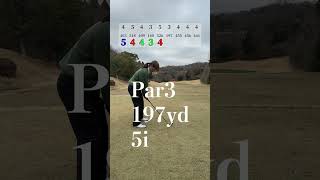 70台のリアル 東条の森カントリークラブ 3H golf golfswing ゴルフ ゴルフスイング vintage [upl. by Roel]