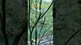 Nainital pangot lake viraloldsong nainital viralshort nainitales song [upl. by Laeahcim]