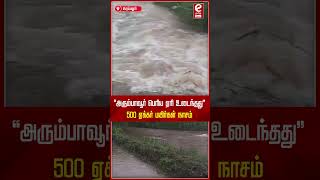 quotபெரம்பலூரில் அரும்பாவூர் பெரிய ஏரி உடைந்ததுquot500 ஏக்கர் பயிர்கள் நாசம் perambalur heavyrain [upl. by Dulcie]