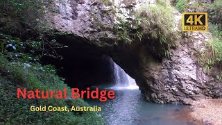 Natural Bridge Springbrook National Park Gold Coast Australia 4K [upl. by Anilas267]