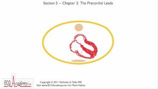 Chest or Precordial Leads 53  ECG  EKG Interpretation  BASIC [upl. by Vinia698]