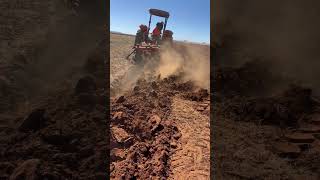 Arado de 4 discos con tractor massey Fergunson 285t [upl. by Ahsea744]