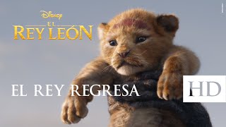 El Rey León de Disney – El regreso del rey Subtitulado [upl. by Ahseit]