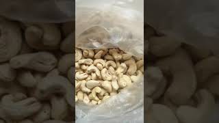 W320 cashew nuts WhatsApp 2348117091177 [upl. by Rocher222]