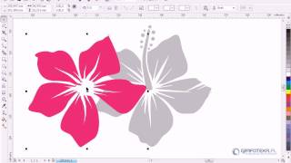 CorelDRAW X4 Tutorial PL Wektorowy hibiskus Część 1 [upl. by Aneahs]