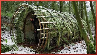 Survival Master Builds 5 EPIC Forest Shelters Start to Finish [upl. by Witty]