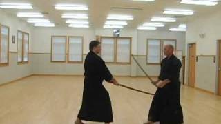 Kenjutsu Five Swords applications segment [upl. by Aihsatal]