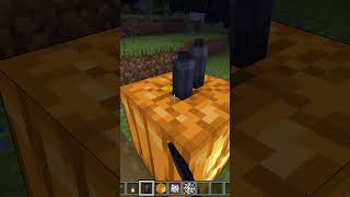 Simple Halloween Walkway in Minecraft  minecraft minecraftbuilding shorts [upl. by Aihsikal20]