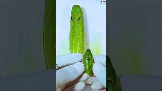 Cucumber has baby Need Emergency Surgery jidoodle fruitsurgery foodsurgery [upl. by Ydaj538]