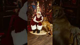 I took my dog to see Santa [upl. by Ahsilac]