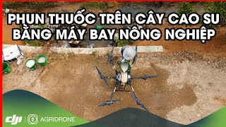 PHUN THUỐC TRÊN CÂY CAO SU BẰNG MÁY BAY NÔNG NGHIỆP  AGRIDRONE VIỆT NAM [upl. by Anaihk387]