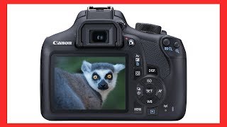 How to adjust Shutter Aperture amp ISO on a Canon EOS DSLR camera [upl. by Alaaj]