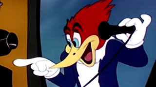 Woody Woodpecker classic  ChewChew Baby  Woody Woodpecker Full Episode  Videos for Kids [upl. by Hermon]