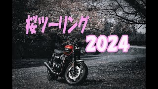 桜ツーリング2024トライアンフスピードツイン [upl. by Otnicaj]