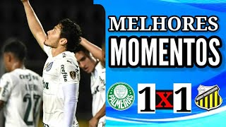 PALMEIRAS vs NOVORIZONTINO Completo MELHORES MOMENTOS da partida  PAULISTÃO 2024 [upl. by Eilarol]