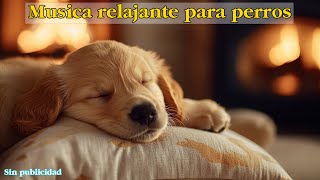 🐶Música Relajante Para Calmar Mascotas 💛 MUSICOTERAPIA Para Gatos Y Perros Inquietos O Nerviosos [upl. by Hurty479]