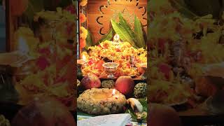 నీ ఇష్టం అని ఉండొచ్చు గా ytshorts shorts trending devotional god dussehra indianshortsindia [upl. by Innes]