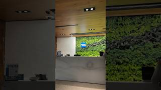 Exploring The Centurion Lounge Denver International shorts [upl. by Amanda]