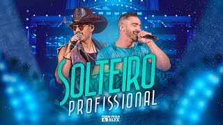 Pedro Paulo amp Alex  Solteiro Profissional Clipe Oficial [upl. by Heall680]