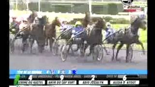 Prix Ephrem Houel 2014 Astor du Quenne [upl. by Linskey]