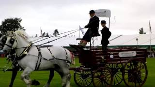 Brewers Drays Royal County of Berkshire Show Newbury 2013 [upl. by Norraa]