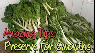 How To Store Spinach \Green Vegetables For Long \\Up To 6 Months [upl. by Anitrebla496]