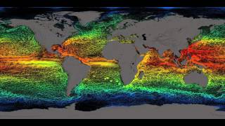 Global Sea Surface Currents and Temperature 1080p [upl. by Collayer650]