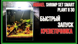 Запуск креветочника на 30 литров AQUAEL SHRIMP SET SMART PLANT II 30 [upl. by Bayer]