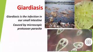 what is giardiasiswhat is cause mode of transmission symptoms and prevention of Giardiasis [upl. by Couq]