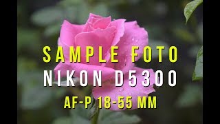 Nikon D5300 AFP 1855mm Sample Photo Indonesia [upl. by Porte]