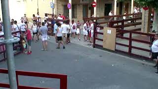 Encierro Fiestas Juventud 2024  Caparroso [upl. by Maribelle731]