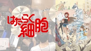 『はたらく細胞』OP「ミッション！健・康・第・イチ」叩いてみた。Hataraku Saibo OP Mission Ken Kou Dai Ichi Drum cover [upl. by Lindahl]