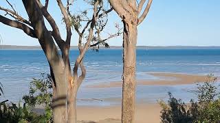 Welcome to our Hervey Bay Queensland Australia 🇦🇺 [upl. by Bronk831]