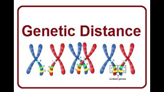 Genetic Distance A Measure of Evolutionary Divergence  2024 [upl. by Sheri]