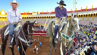 TOROS BRAVOS BUSCA CABALLOS EN LA MONUMENTAL DE MORELIA 30 DE NOVIEMRE 2024 HILARIO CABEZAS [upl. by Aokek]