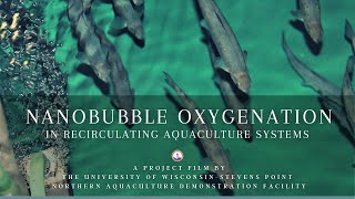 Nanobubble Oxygenation in Recirculating Aquaculture Systems RAS [upl. by Atcliffe970]