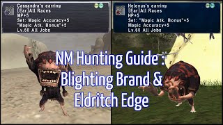 NM Hunting Guide  Blighting Brand amp Eldritch Edge WingsXI [upl. by Avehsile]