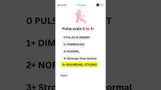 Part 2 Understanding Pulse Strength Vital Signs Explained in 60 Seconds NCLEXRN Exams nclexpn [upl. by Grearson]