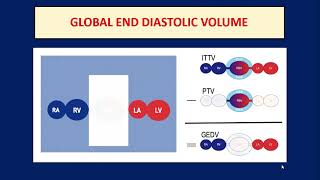 Cardiac output monitoring HD WEB [upl. by Tarrsus387]