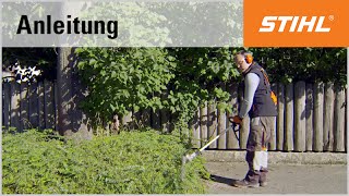 SchnittTechnik BenzinHeckenschneider Bodendecker schneiden mit dem STIHL HL 100 [upl. by Al799]