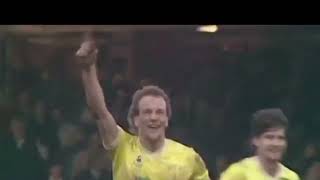 Great Everton away goals and moments GraySheedySteven and more [upl. by Ayrolg]