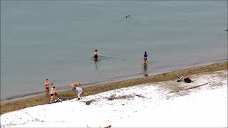 Vancouver polar bear swim 2022 How braved and Crazy the mom [upl. by Edmonda]