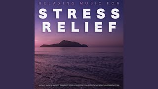 Music for Stress Relief [upl. by Llain255]