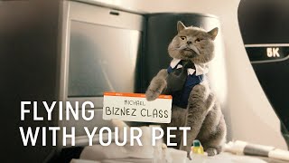 Flying with Your Pet  Turkish Airlines [upl. by Asilim]